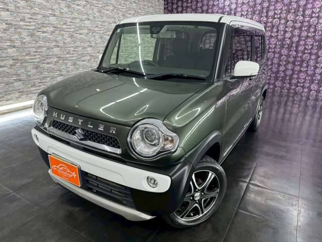 Suzuki Hustler 11