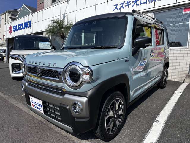 Suzuki Hustler 11