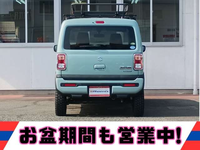 Suzuki Hustler 6