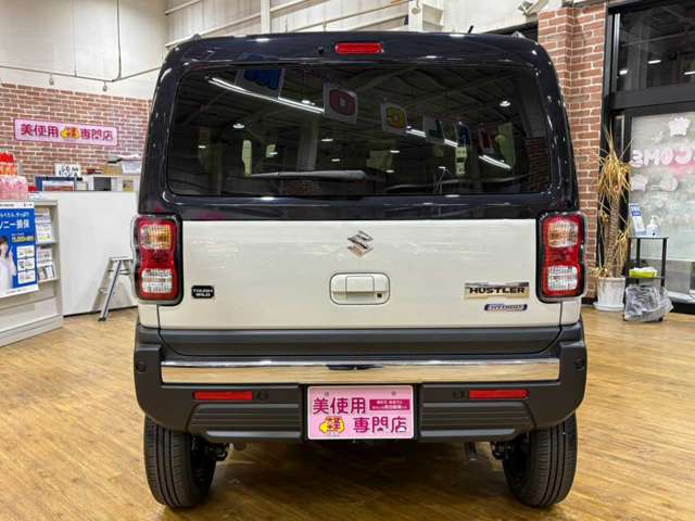 Suzuki Hustler 10