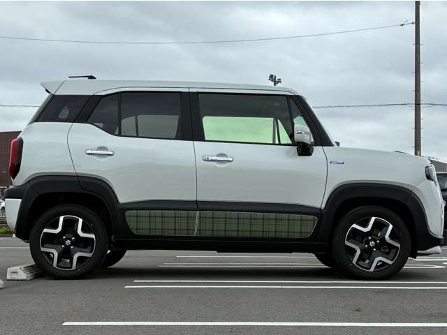 Suzuki XBEE 4