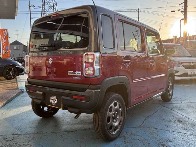 Suzuki Hustler 9