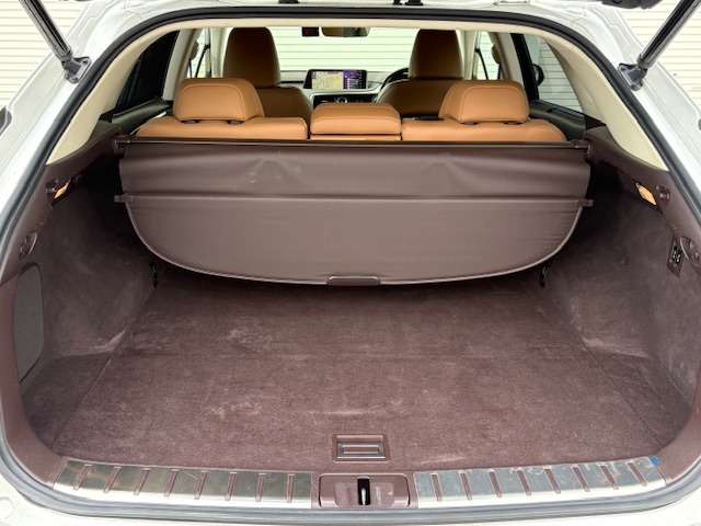 Lexus RX 11