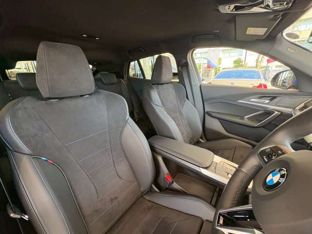 BMW X2 10