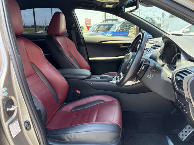 Lexus NX 11