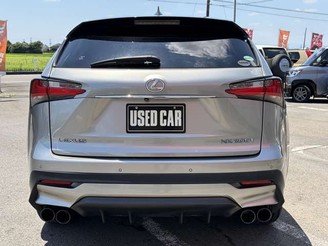 Lexus NX 6