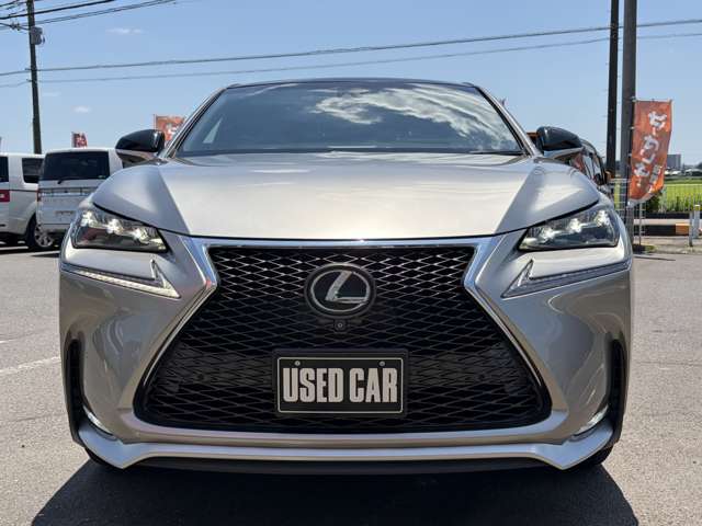 Lexus NX 10