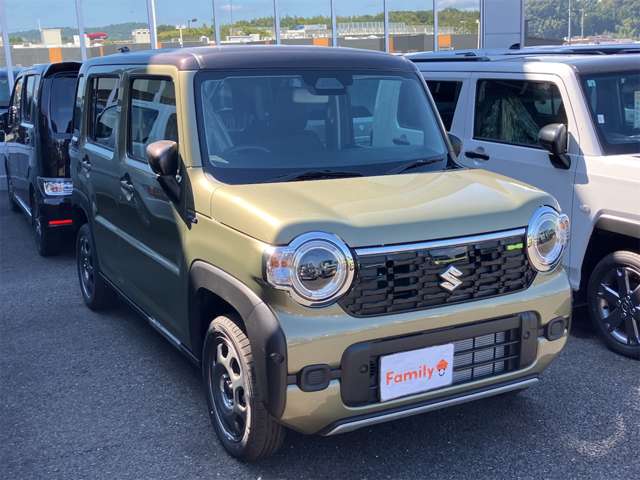Suzuki Hustler 6