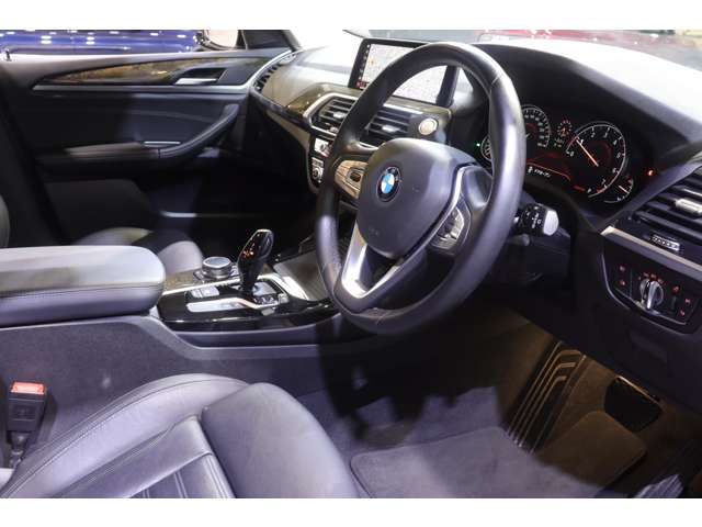 BMW X3 10