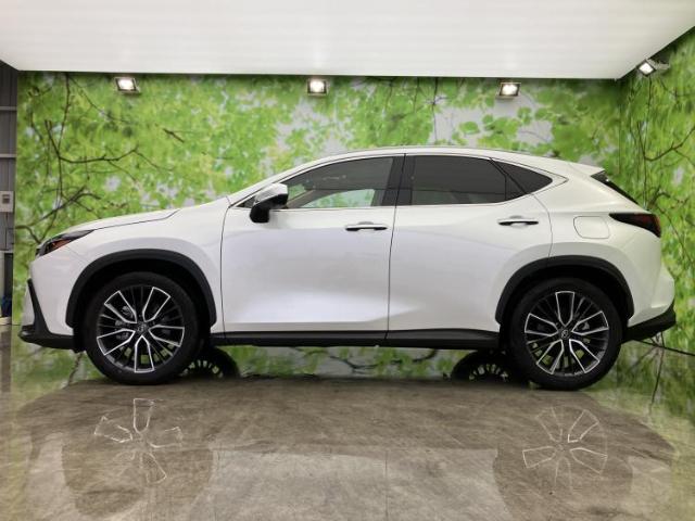 Lexus NX 5