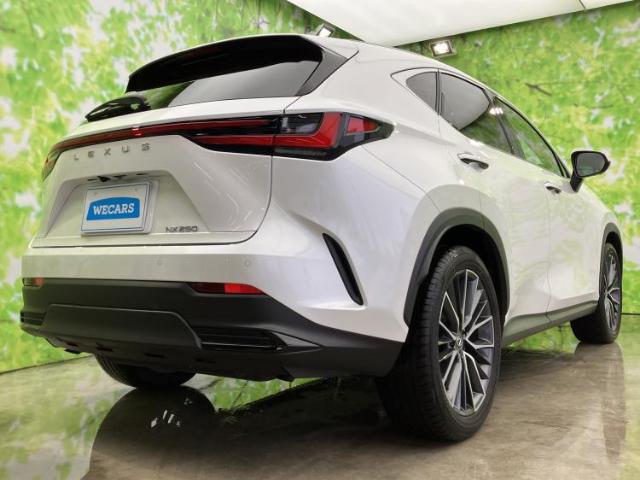 Lexus NX 6