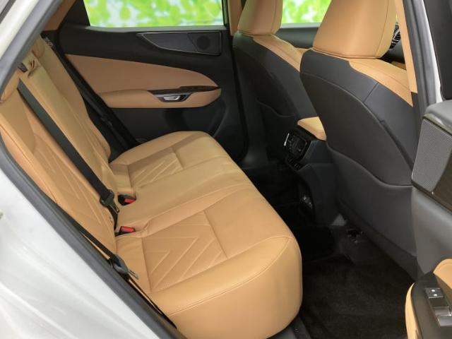 Lexus NX 7