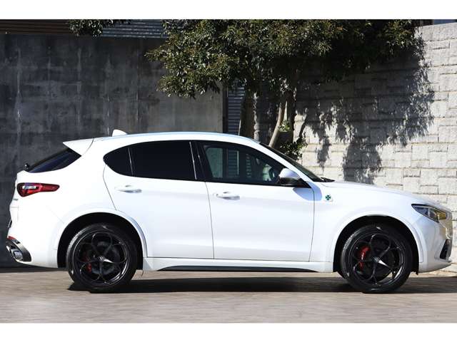 Alfa Romeo Stelvio 7