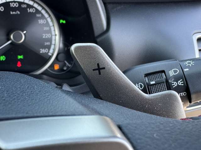 Lexus NX 12