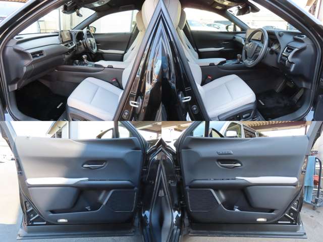 Lexus UX 9