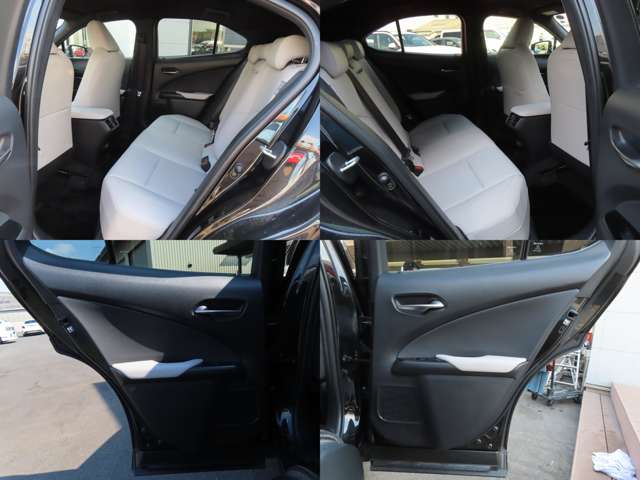 Lexus UX 10