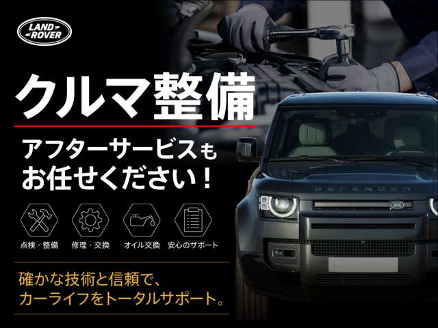 Land Rover Defender 6