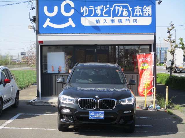 BMW X3 9