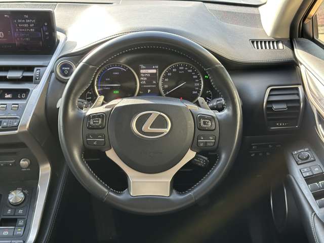 Lexus NX 4