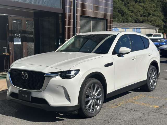 Mazda CX-60 3