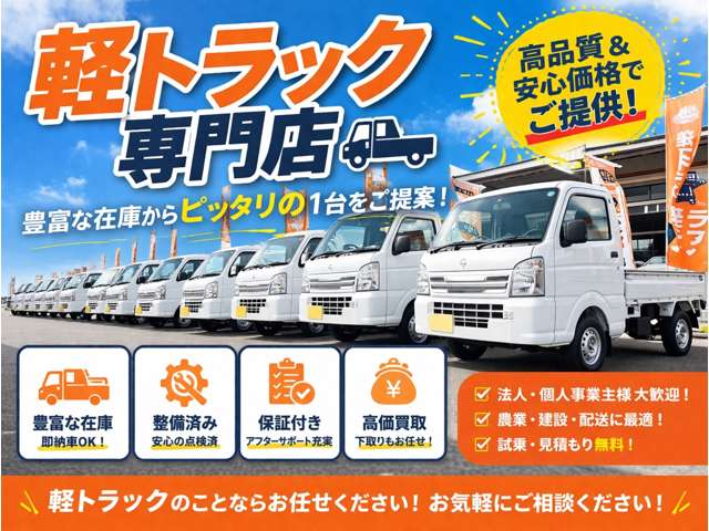 Toyota Pixis Truck 2