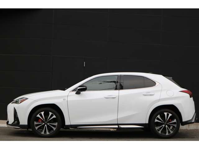 Lexus UX 11