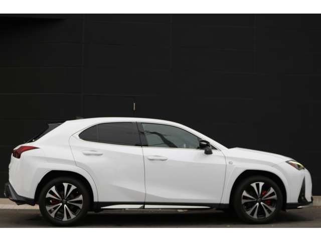 Lexus UX 12