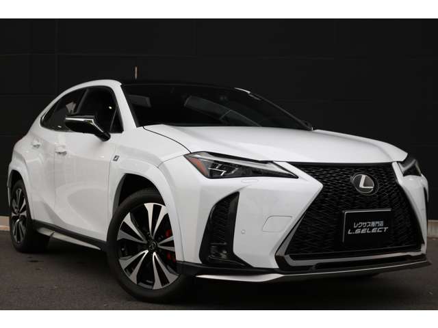 Lexus UX 6