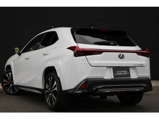 Lexus UX 8