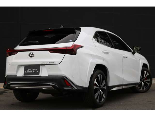 Lexus UX 10