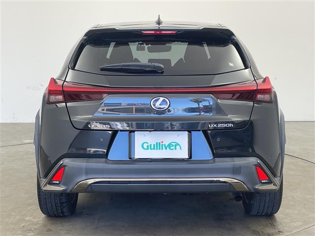 Lexus UX 7