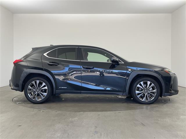 Lexus UX 9