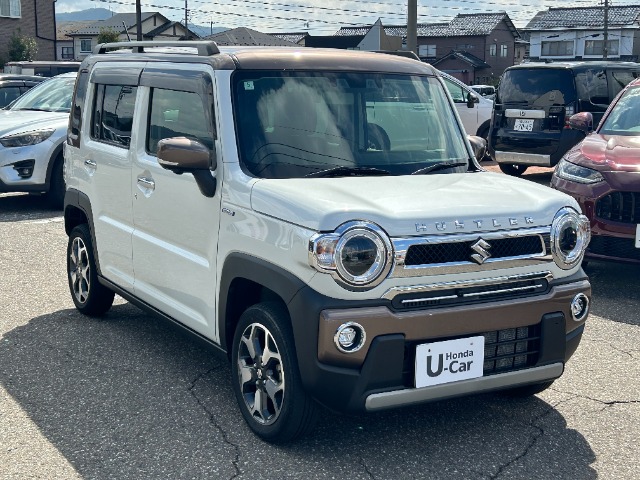 Suzuki Hustler 4