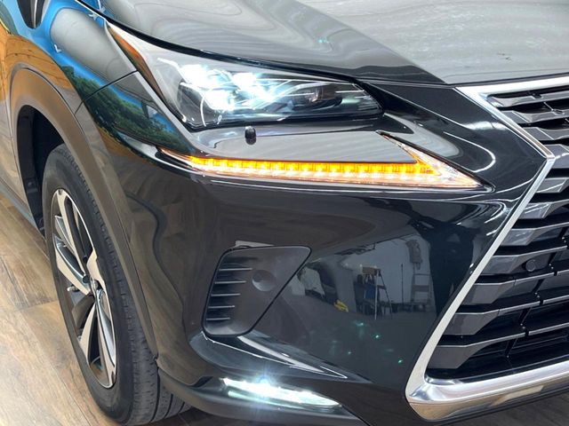 Lexus NX 12