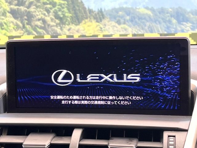 Lexus NX 4