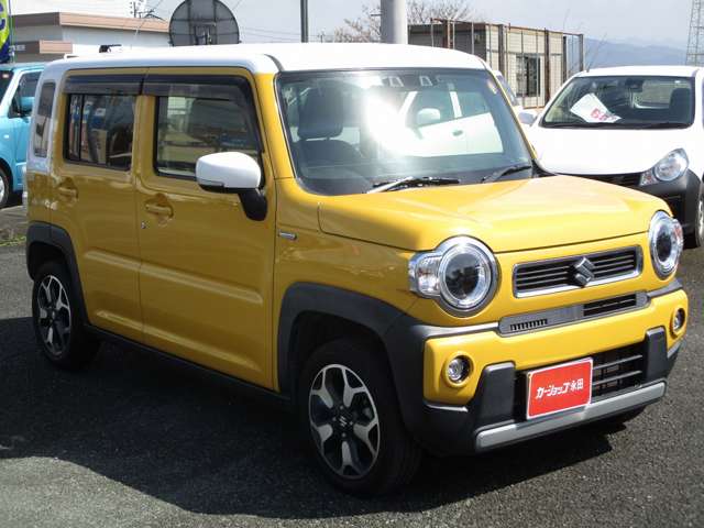 Suzuki Hustler 9