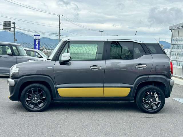 Suzuki XBEE 12