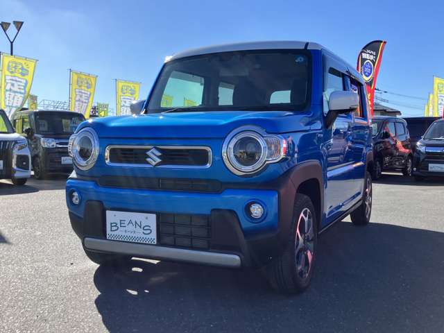 Suzuki Hustler 4
