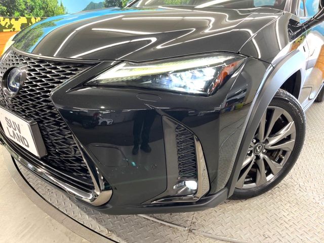 Lexus UX 12