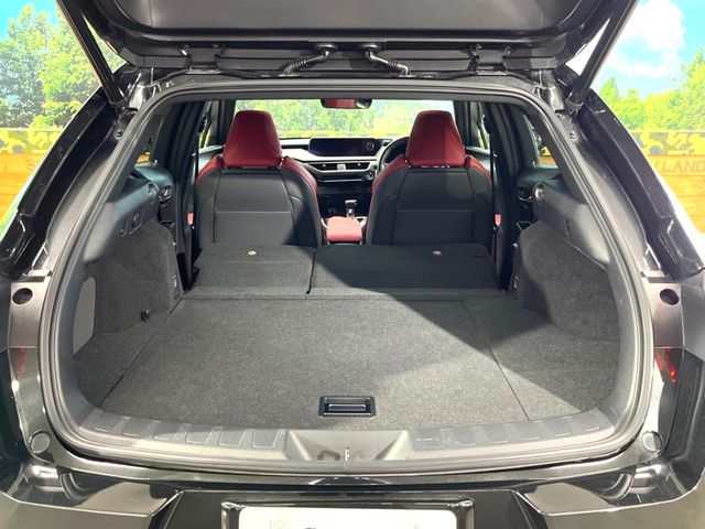 Lexus UX 10
