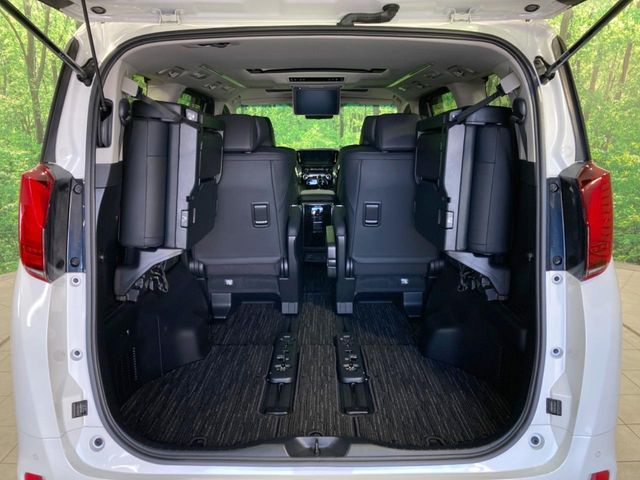 Toyota Alphard 11