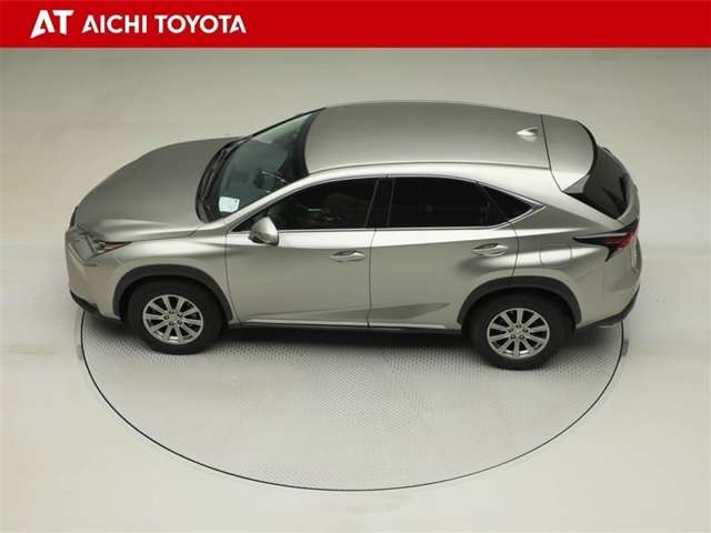 Lexus NX 11