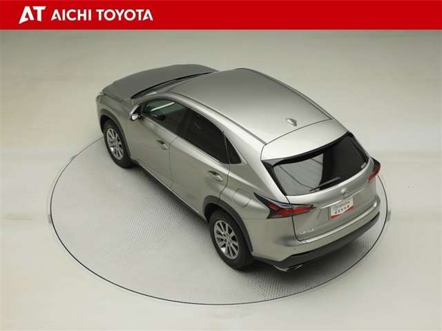 Lexus NX 12