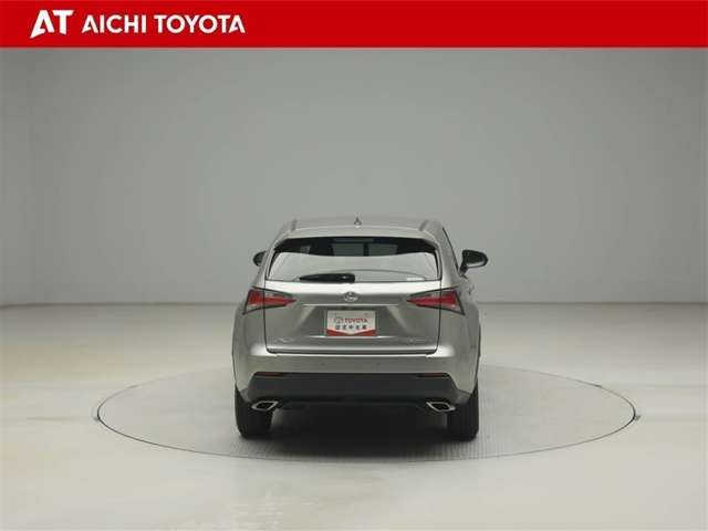 Lexus NX 5