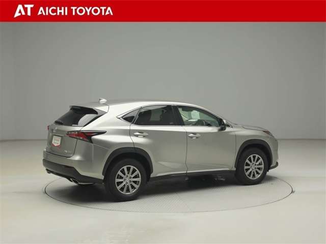 Lexus NX 6