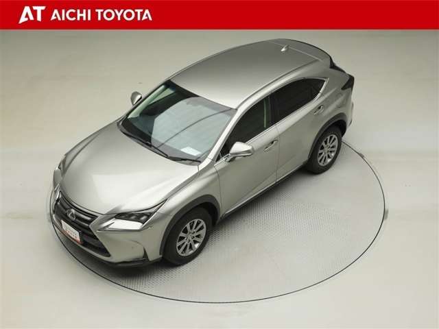 Lexus NX 10