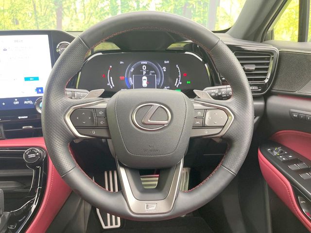 Lexus NX 11