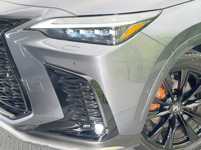 Lexus NX 12