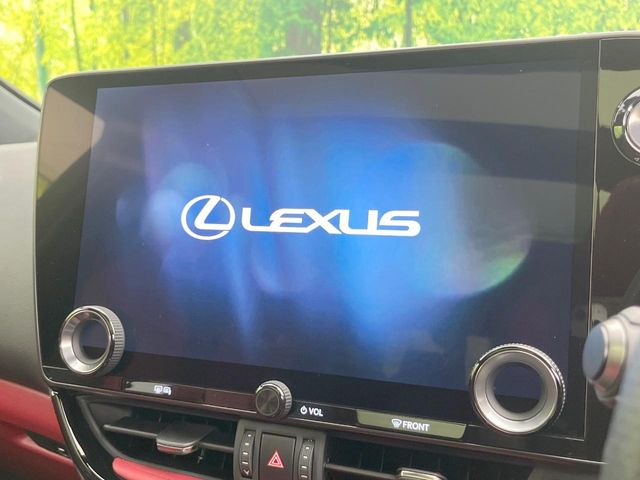 Lexus NX 4