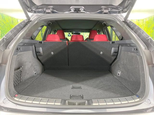 Lexus NX 10